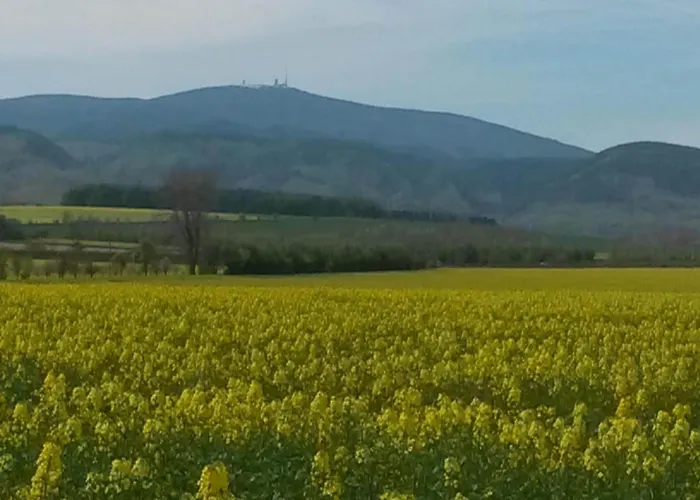 Feriehus Mit Terrasse In